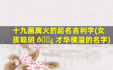 十九画属火的起名吉利字(女孩聪明 🌿 才华横溢的名字)